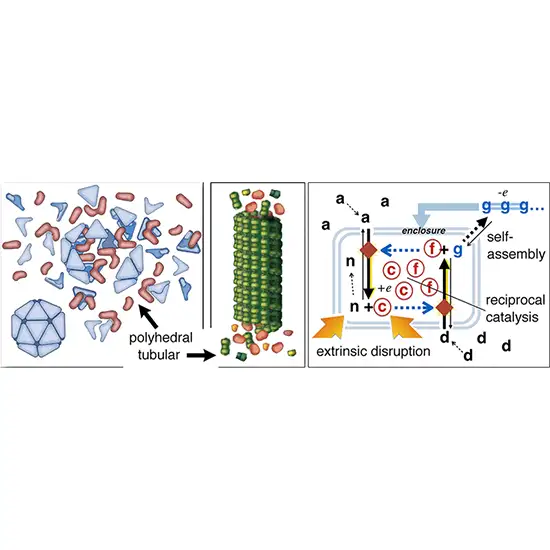autogen plus panel test